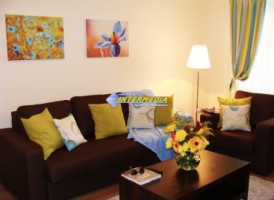 apartament-lux-cu-2-dormitoare-si-living-open-space-de-inchiriat-in-cetate-5